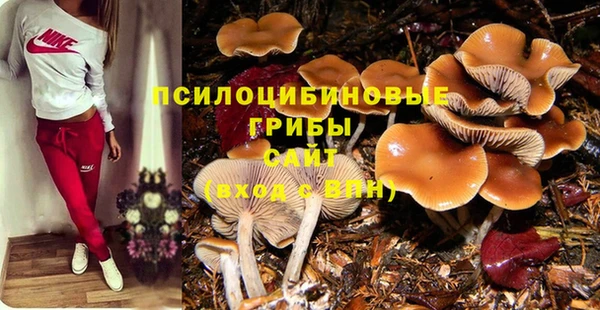 амф Баксан